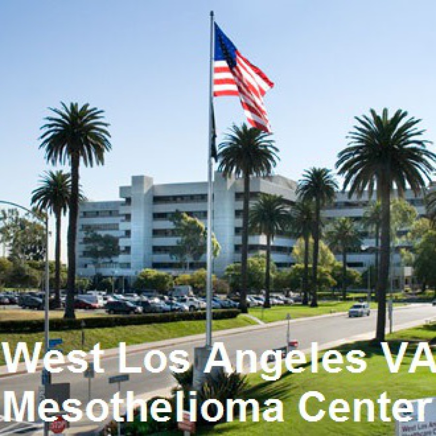Robert B. Cameron, MD and the West Los Angeles VA Mesothelioma Center